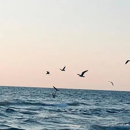 Lejlighed Sunrise